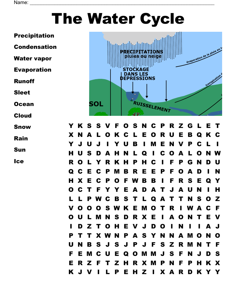 The Water Cycle Word Search WordMint Worksheets Library
