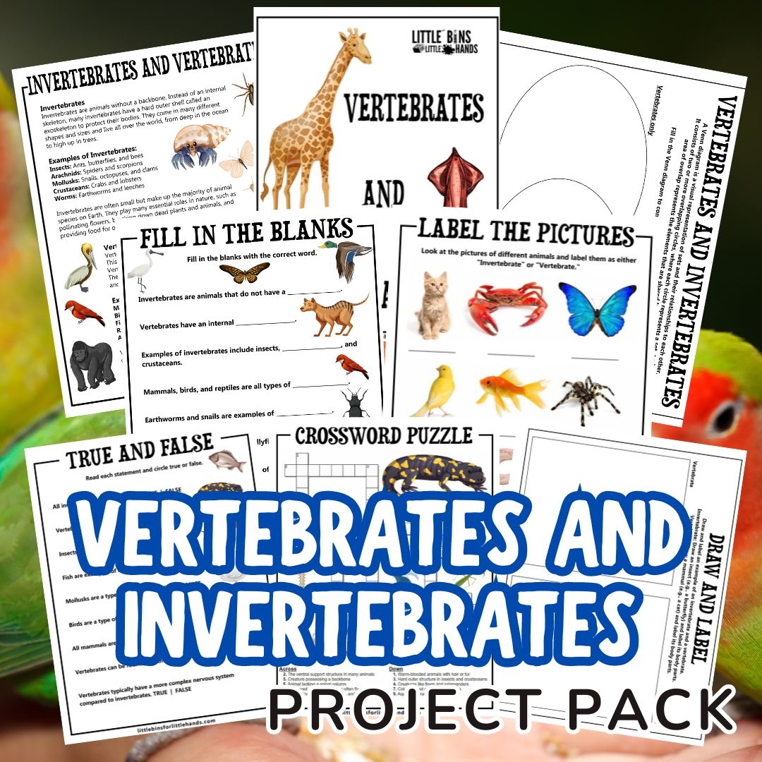 vertebrates and invertebrates worksheets little bins for little hands