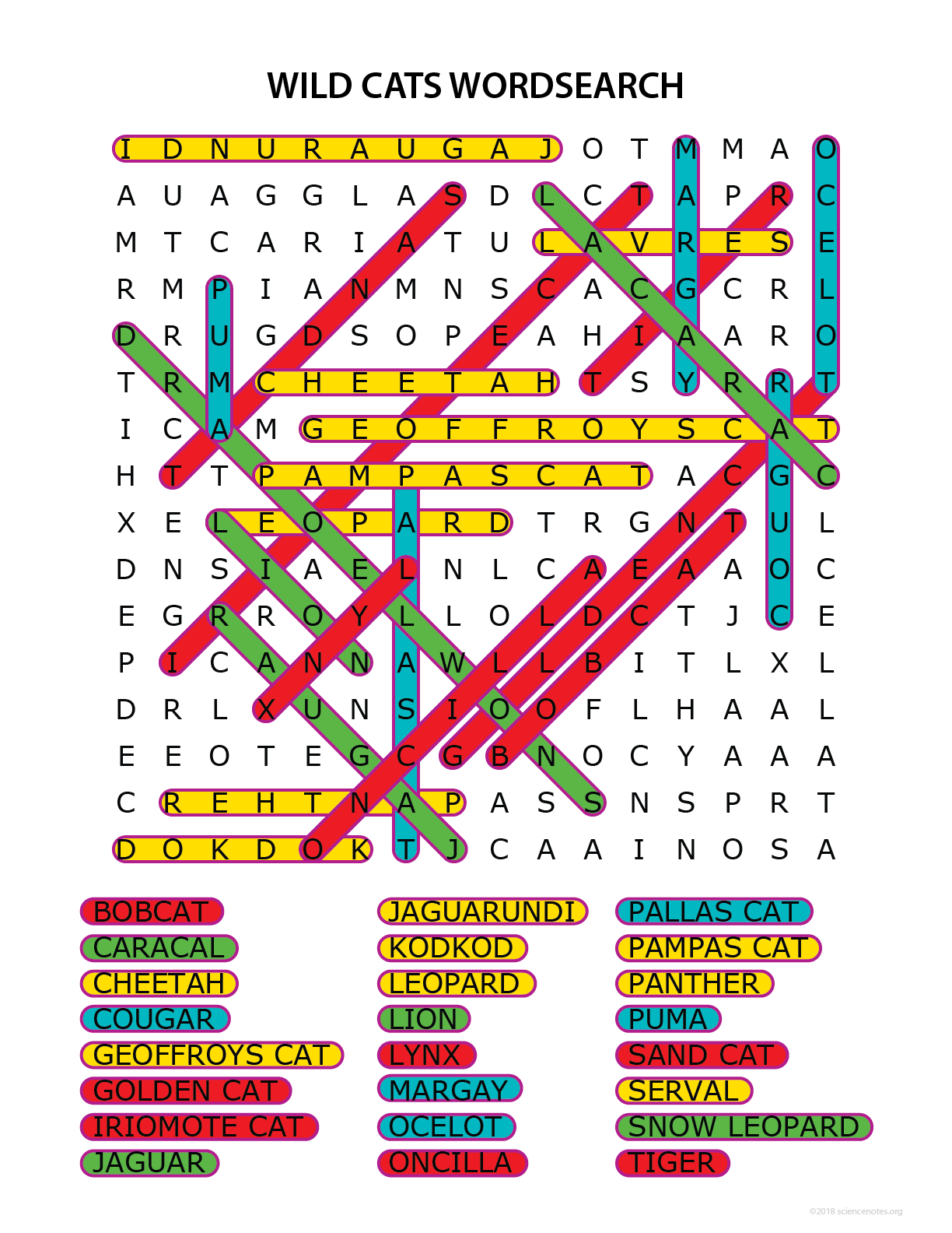 Wild Cats Word Search