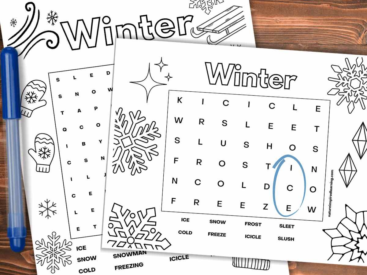 Winter Word Search Printables