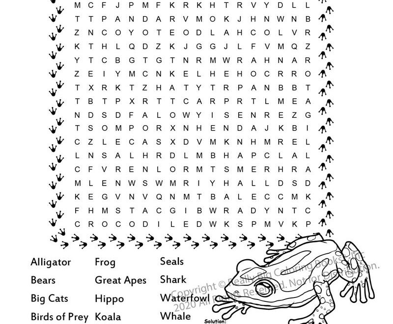 Zoo Animals Coloring Book 8 5 X 11