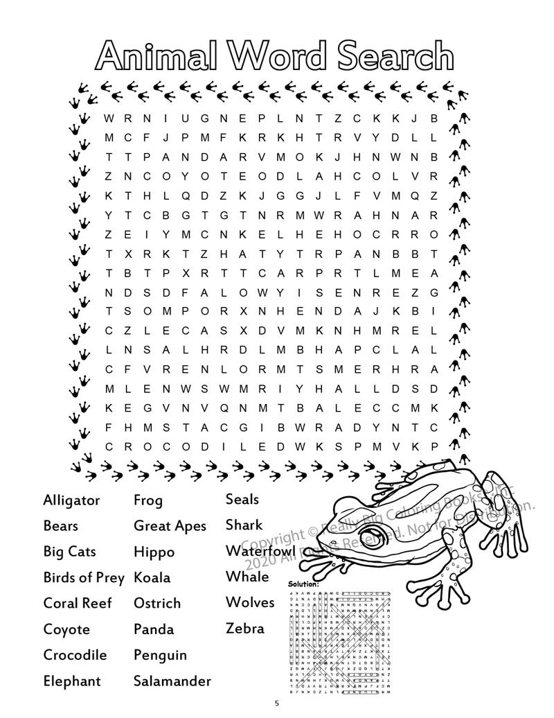 Zoo Animals Coloring Book 8 5 X 11