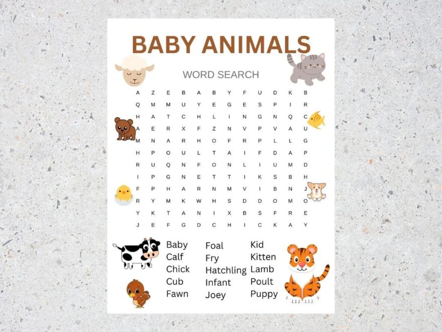 Baby Animals Word Search With Answer Key Printable Etsy