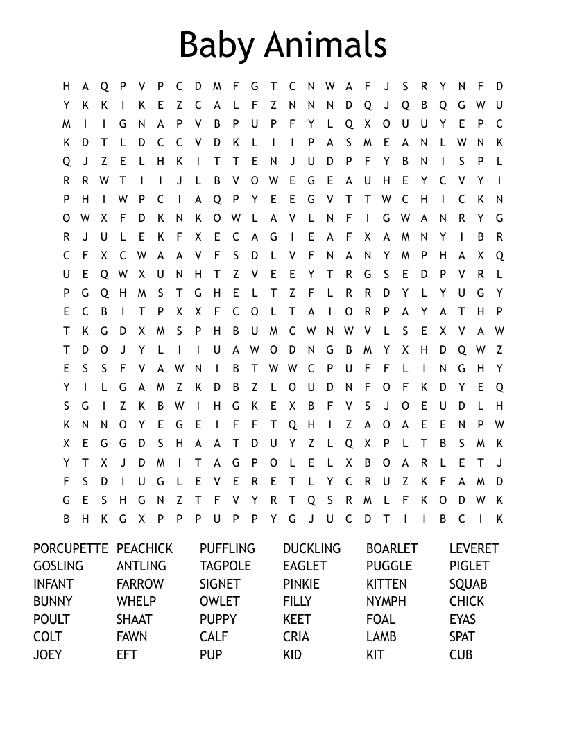 Baby Animals Word Search WordMint