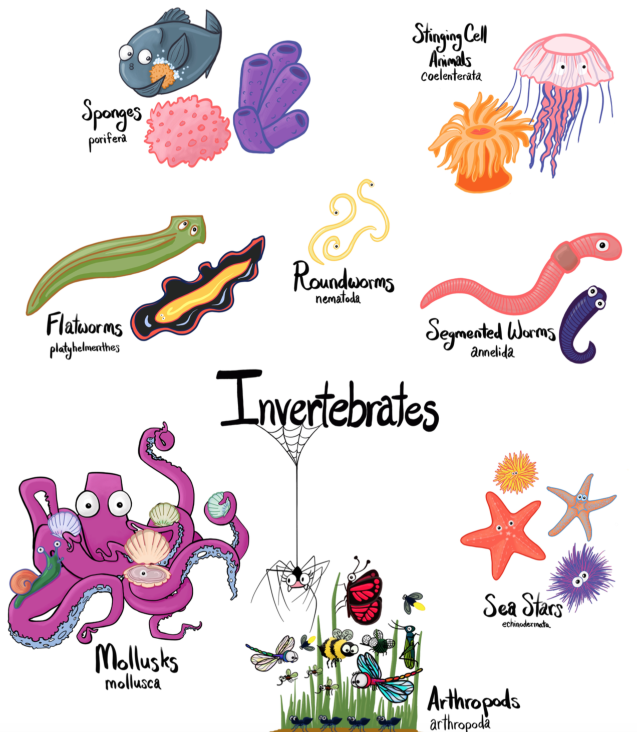 Printable Word Search Mollusks Annelids