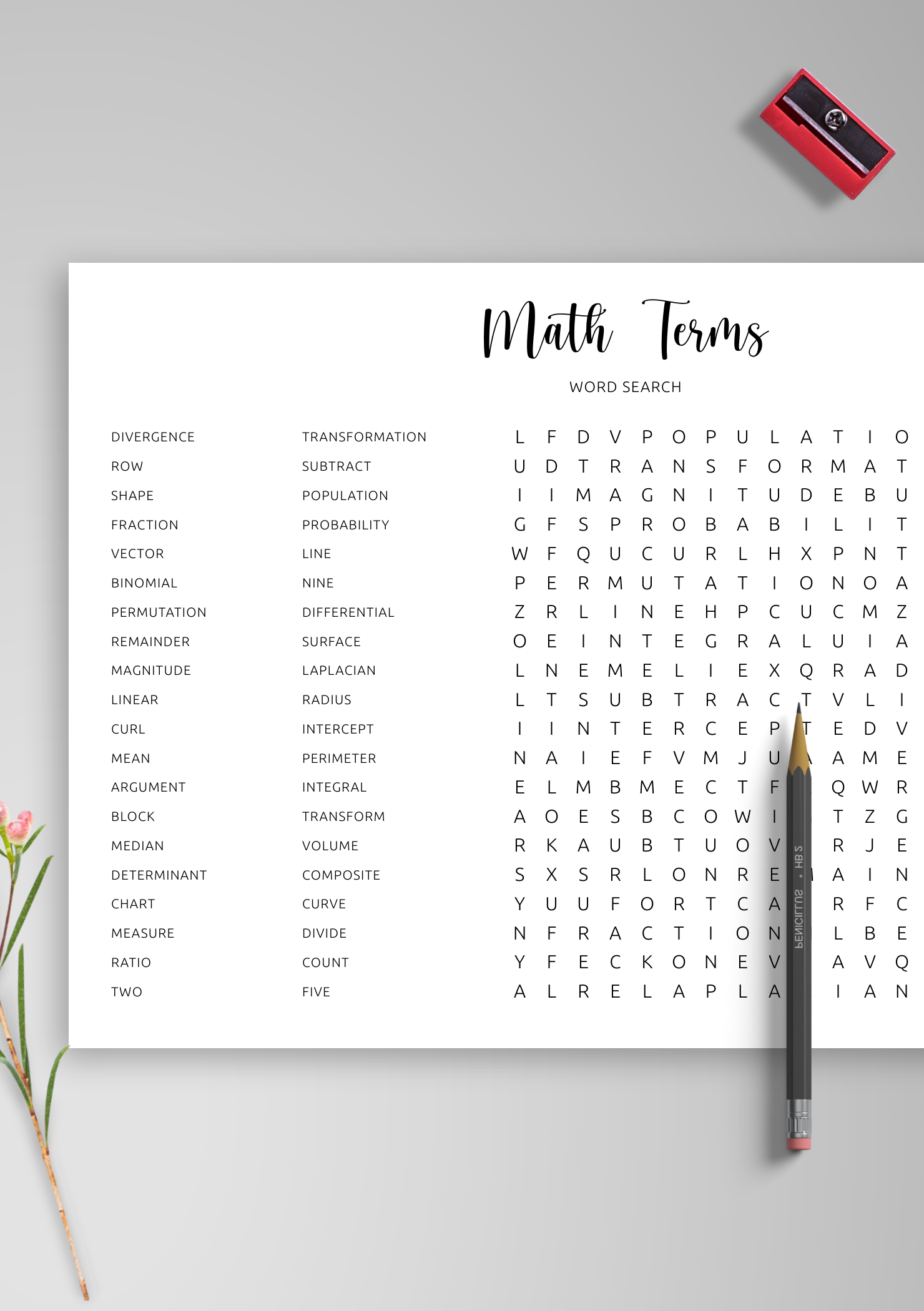 Download Printable Mathematics Terms Word Search In PDF