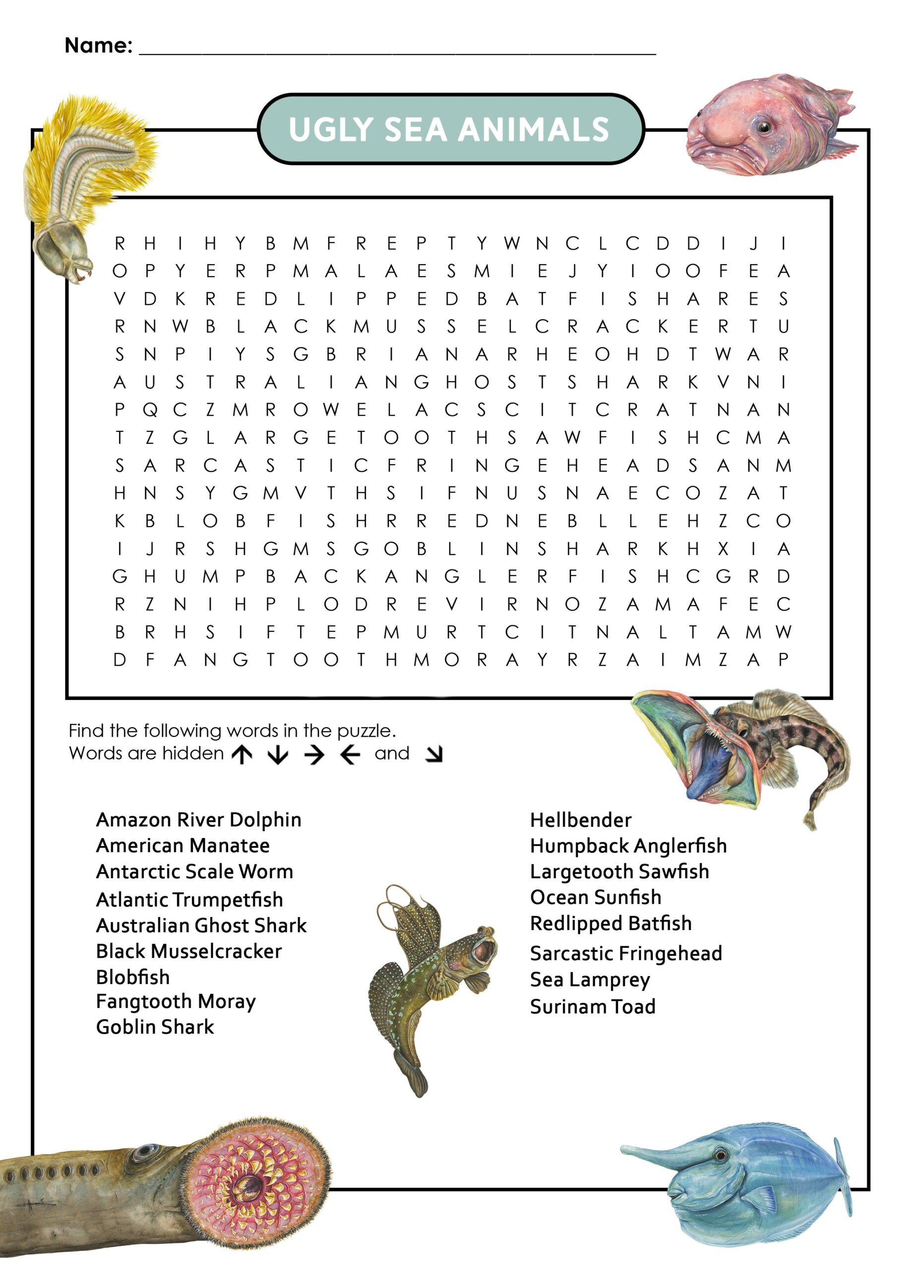 Vertebrates And Invertebrates Printable Word Search