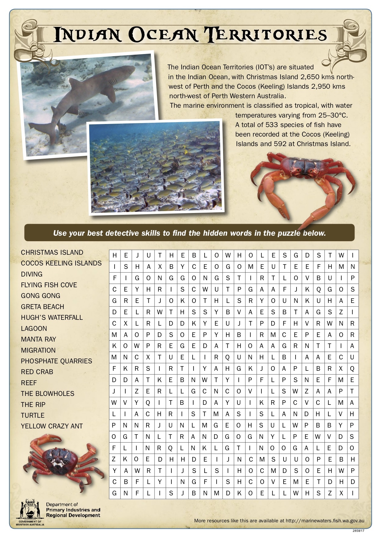 Fishy Fun Sheet Indian Ocean Territories Word Search Department Of Primary Industries And Regional Development