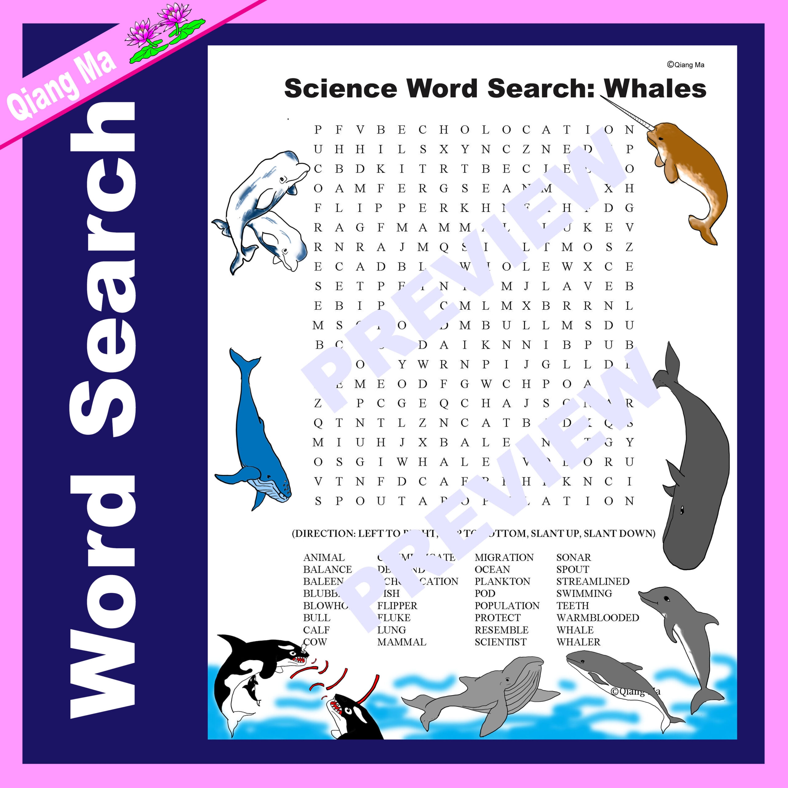 Science Word Search Arachnid Facts Made By Teachers