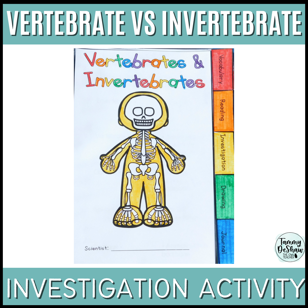 Vertebrate Invertebrate Animal Classification Booklet Printable Digital Classful