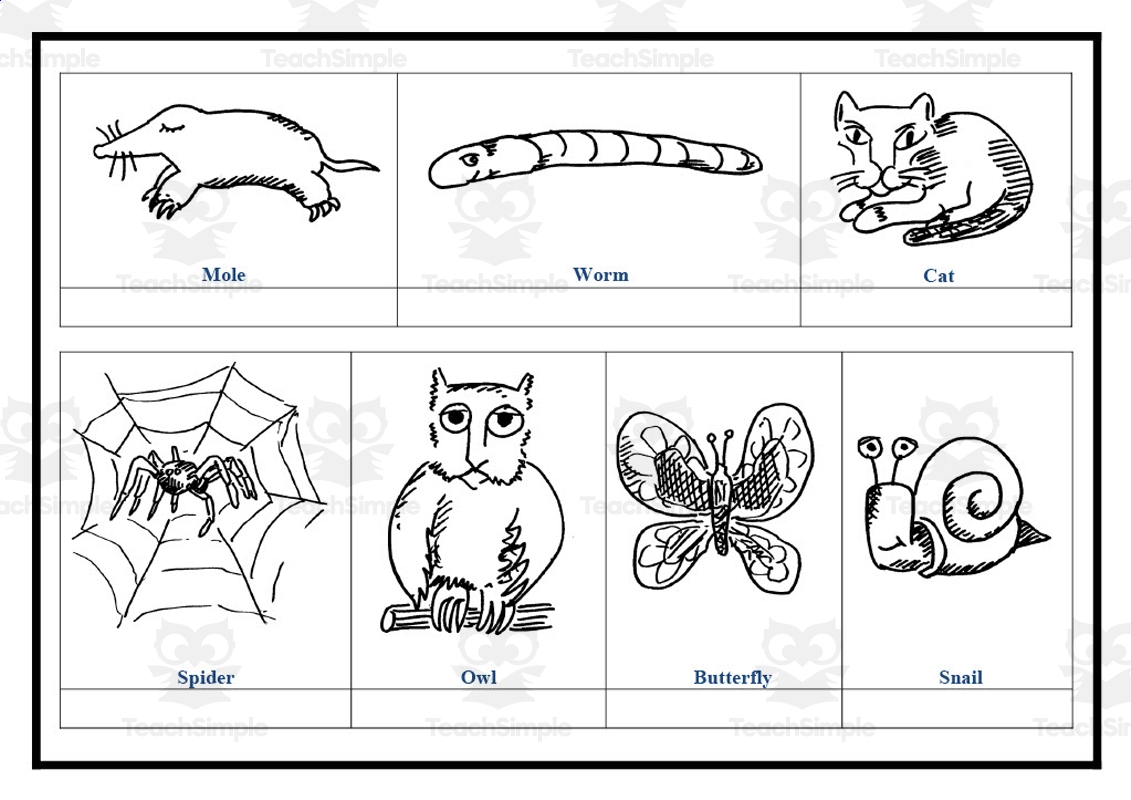 Vertebrates And Invertebrates Worksheet By Teach Simple
