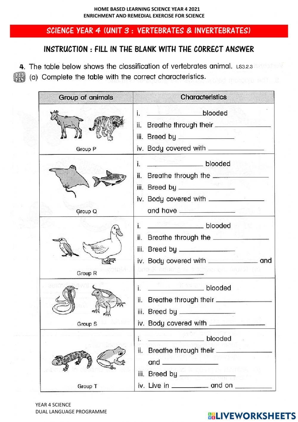 Year 4 Science Vertebrates Invertebrates Worksheet Live Worksheets Library